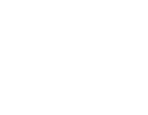 stinger-precision-logo-white